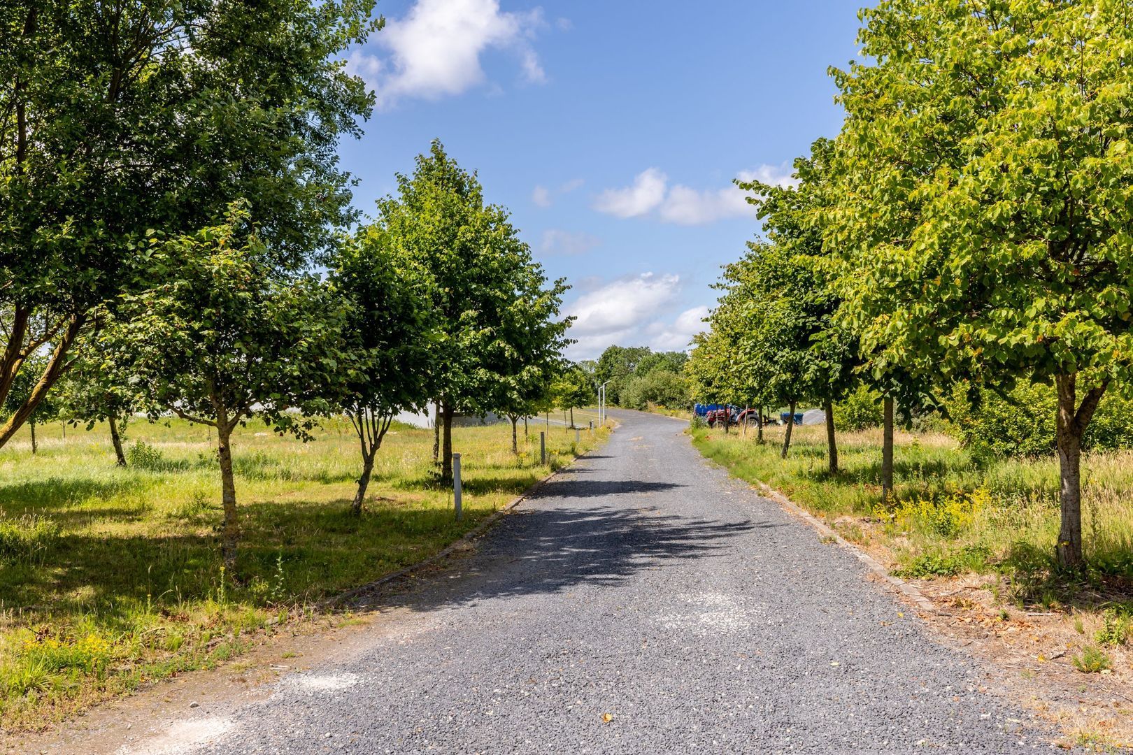 Battenoordsedijk 17, Nieuwe-Tonge foto-75