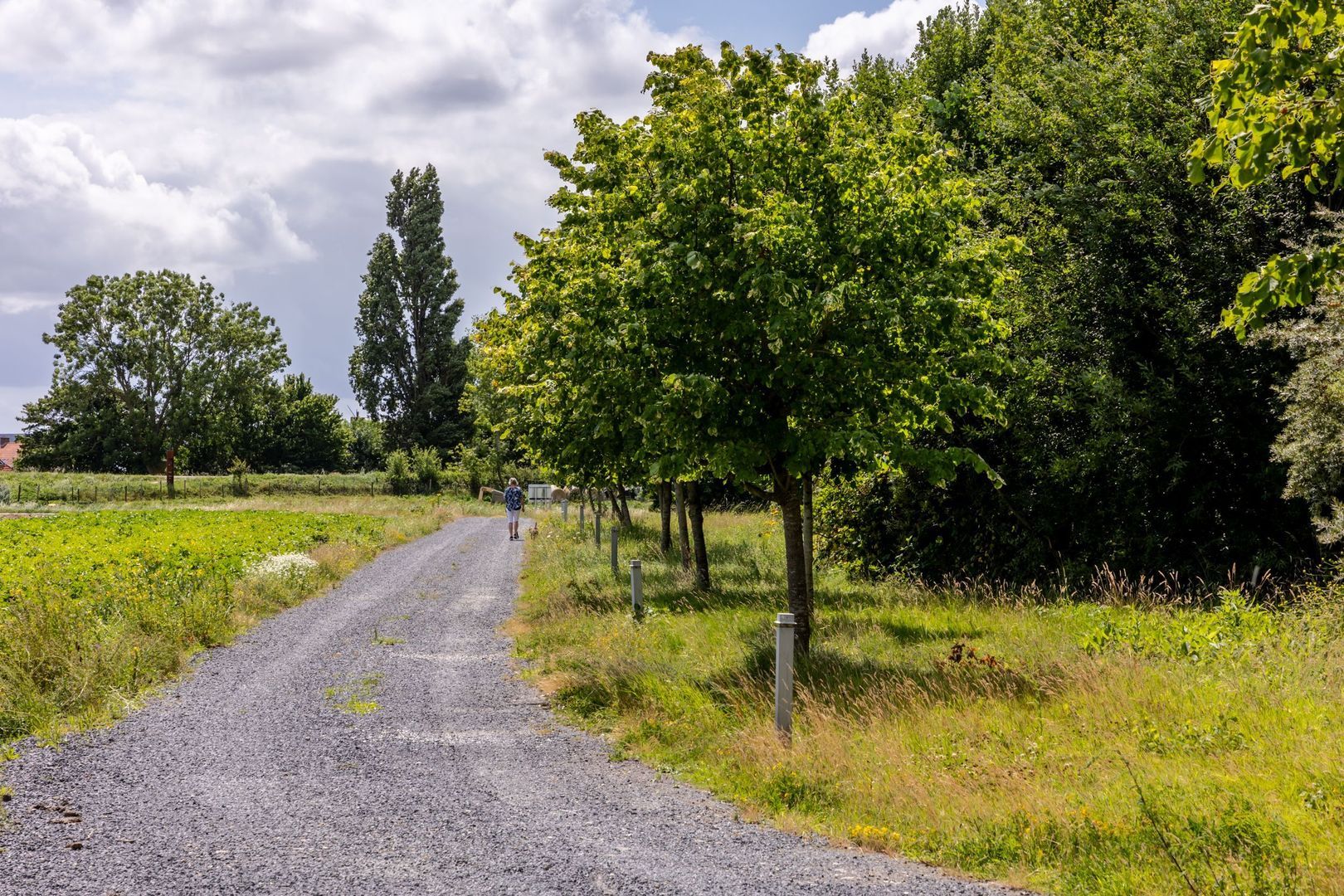 Battenoordsedijk 17, Nieuwe-Tonge foto-76