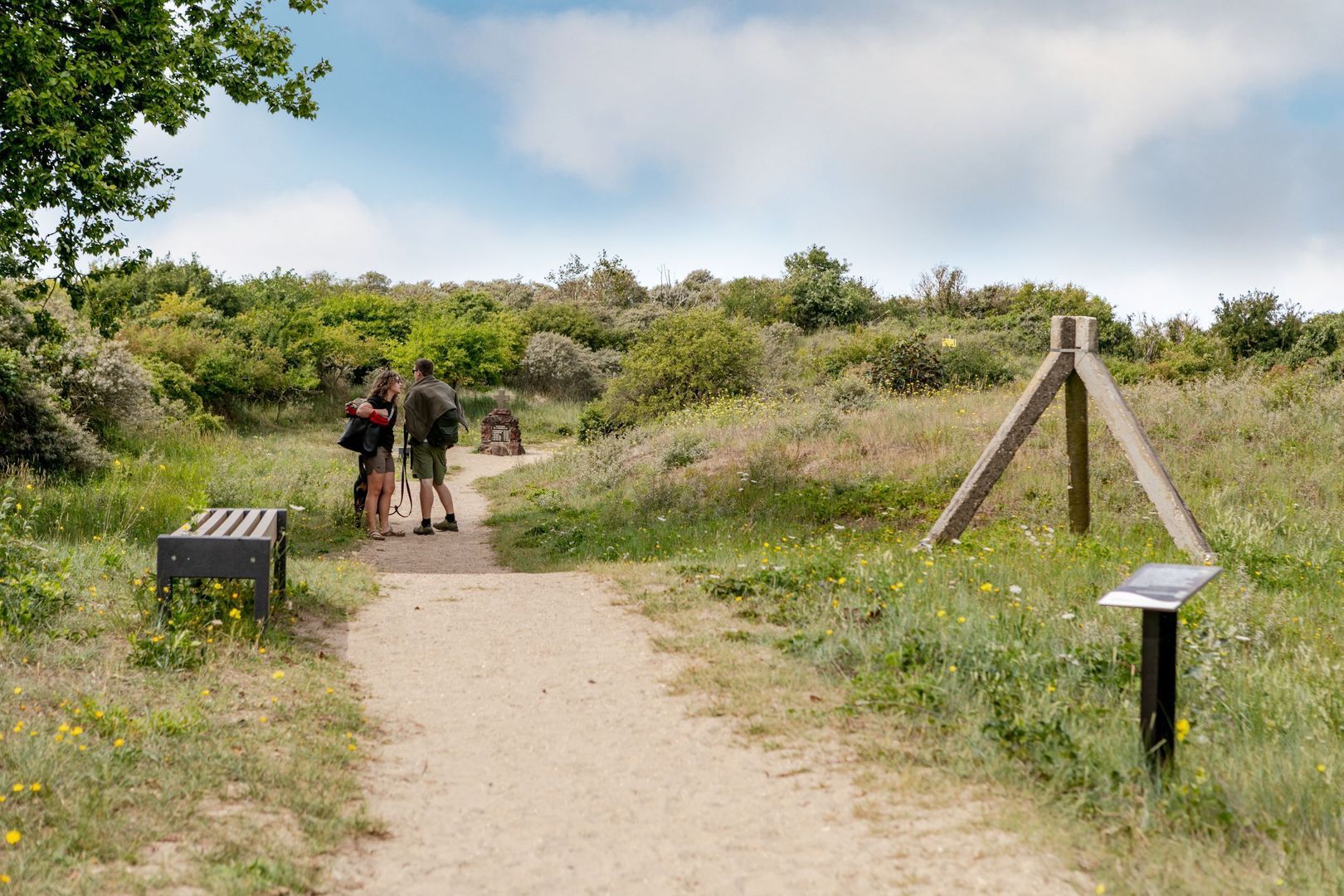 Duinrand 2, Rockanje foto-56