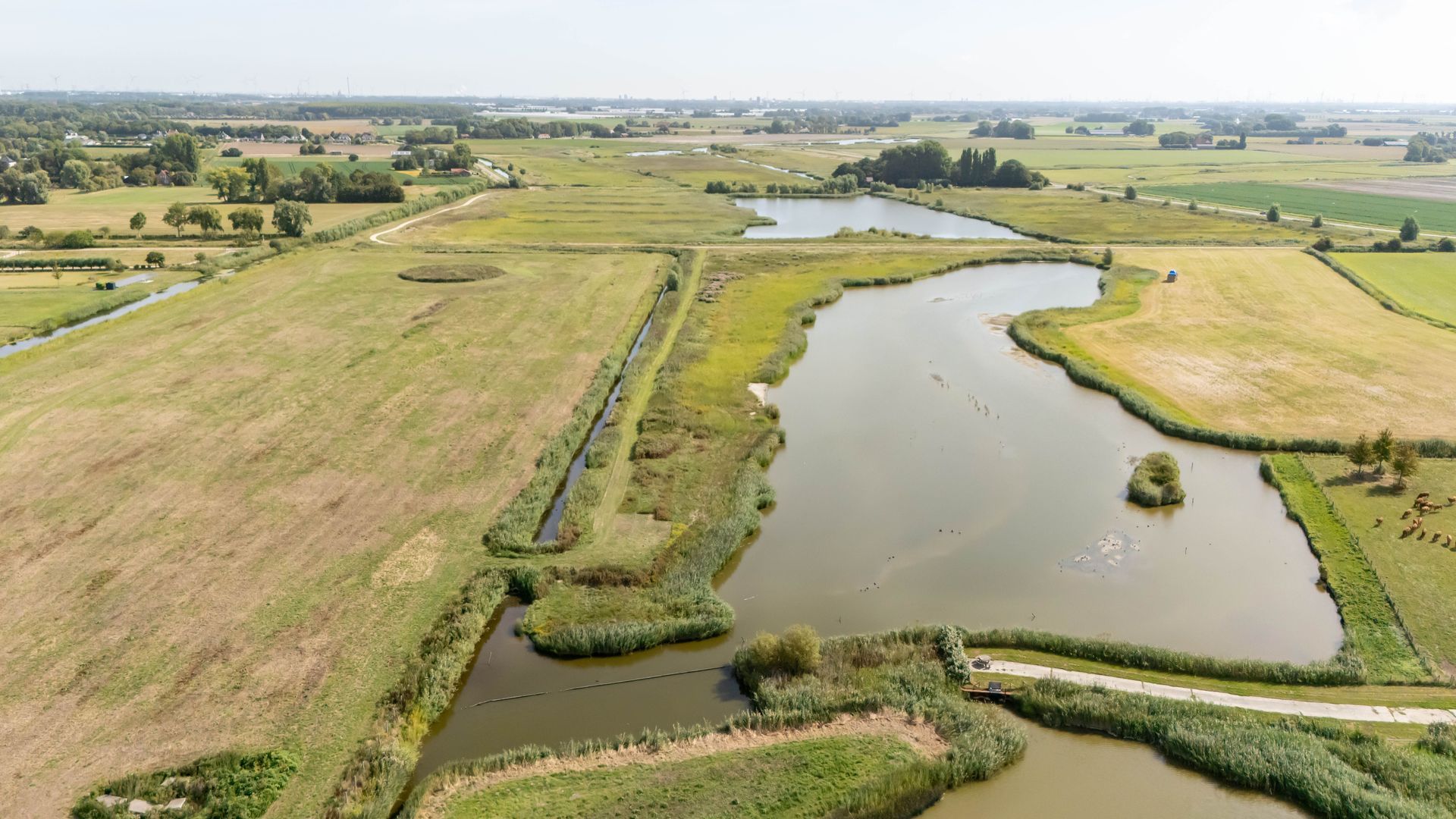 Slikveld 8, Rockanje foto-70