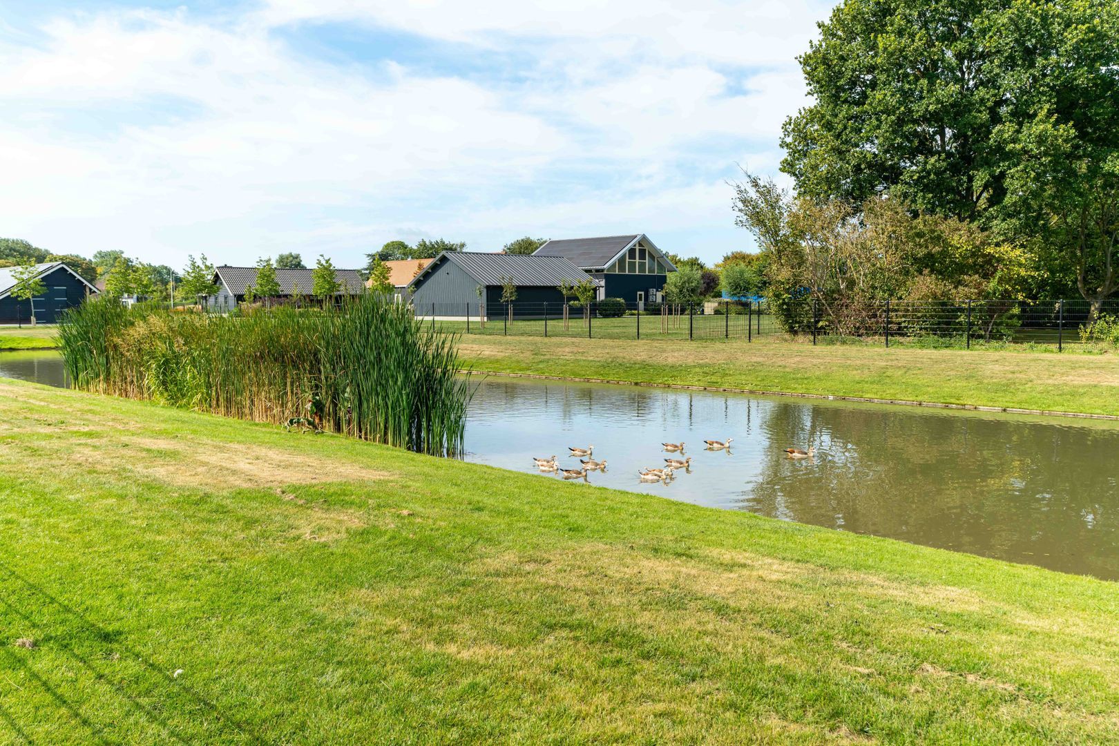 Slikveld 8, Rockanje foto-59