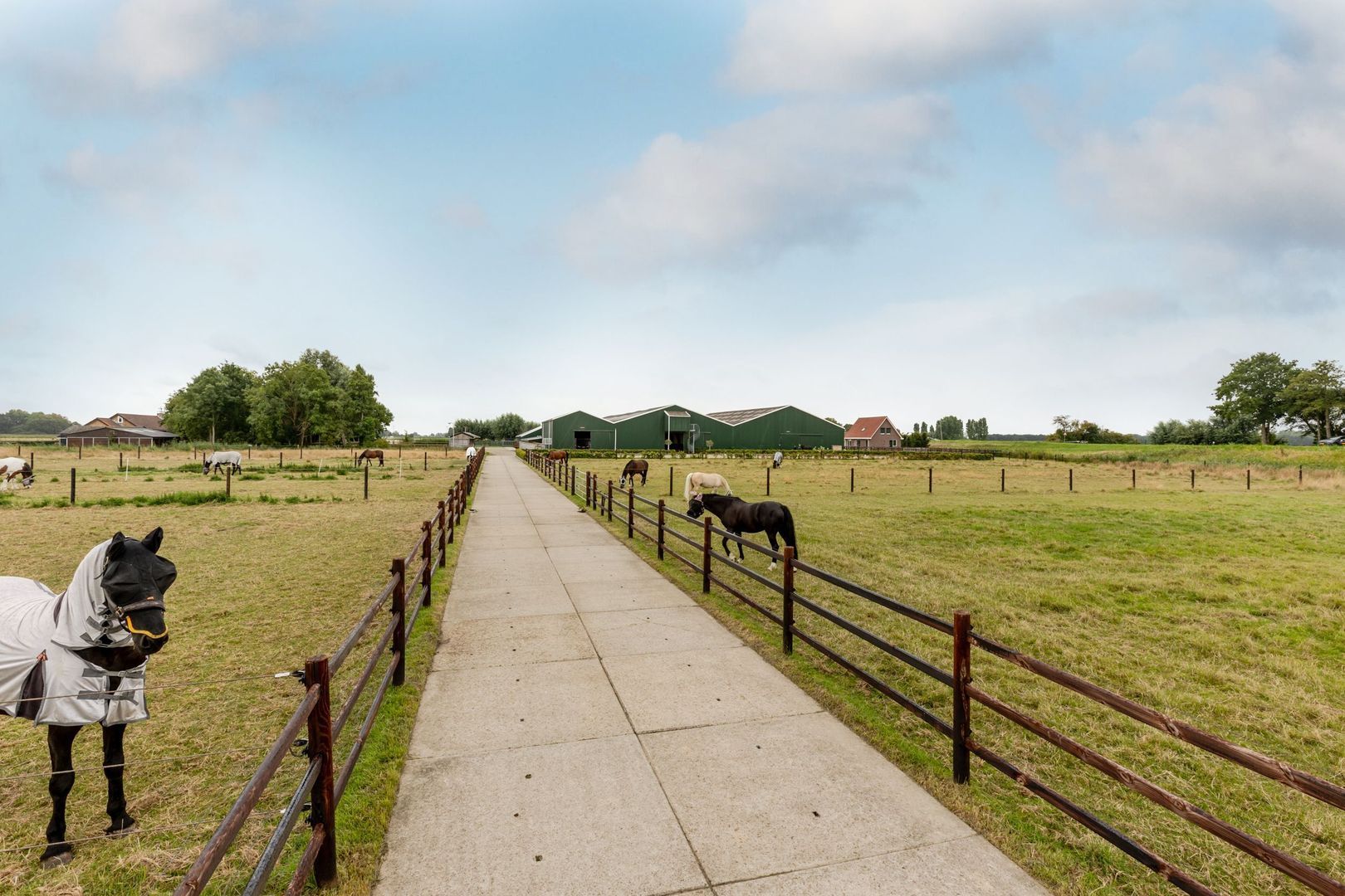 Ikkerseweg 2, Hellevoetsluis foto-37