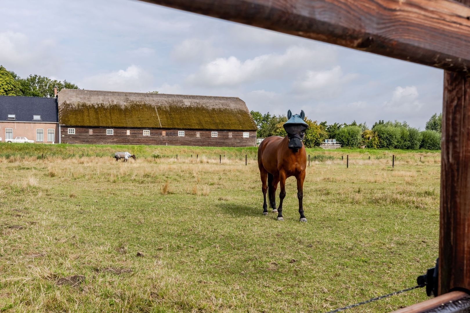 Ikkerseweg 2, Hellevoetsluis foto-38