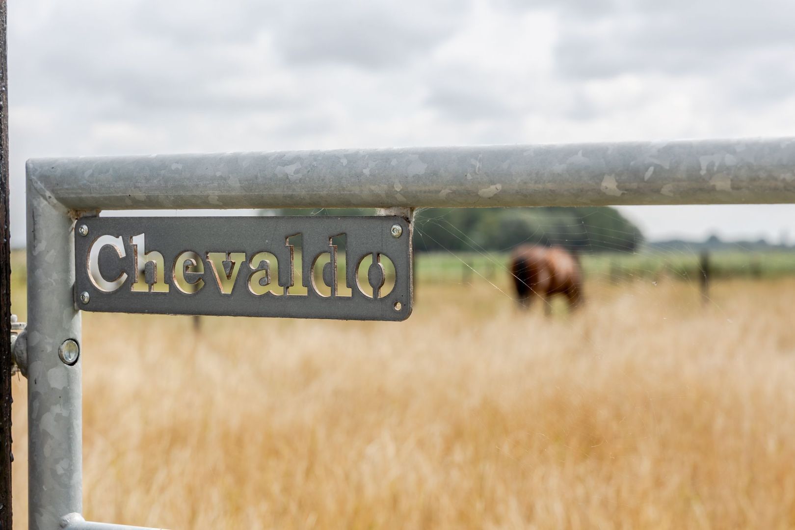 Ikkerseweg 2, Hellevoetsluis foto-35