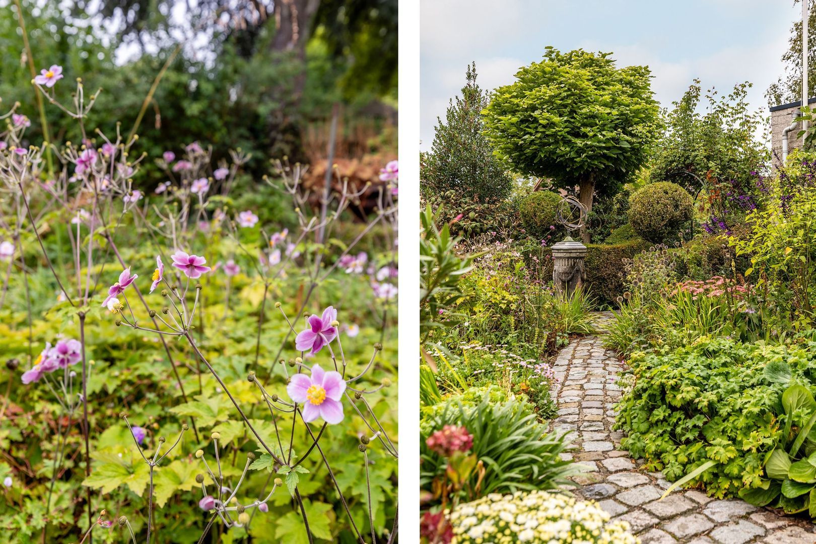 Dwarsweg 14, Rockanje foto-54