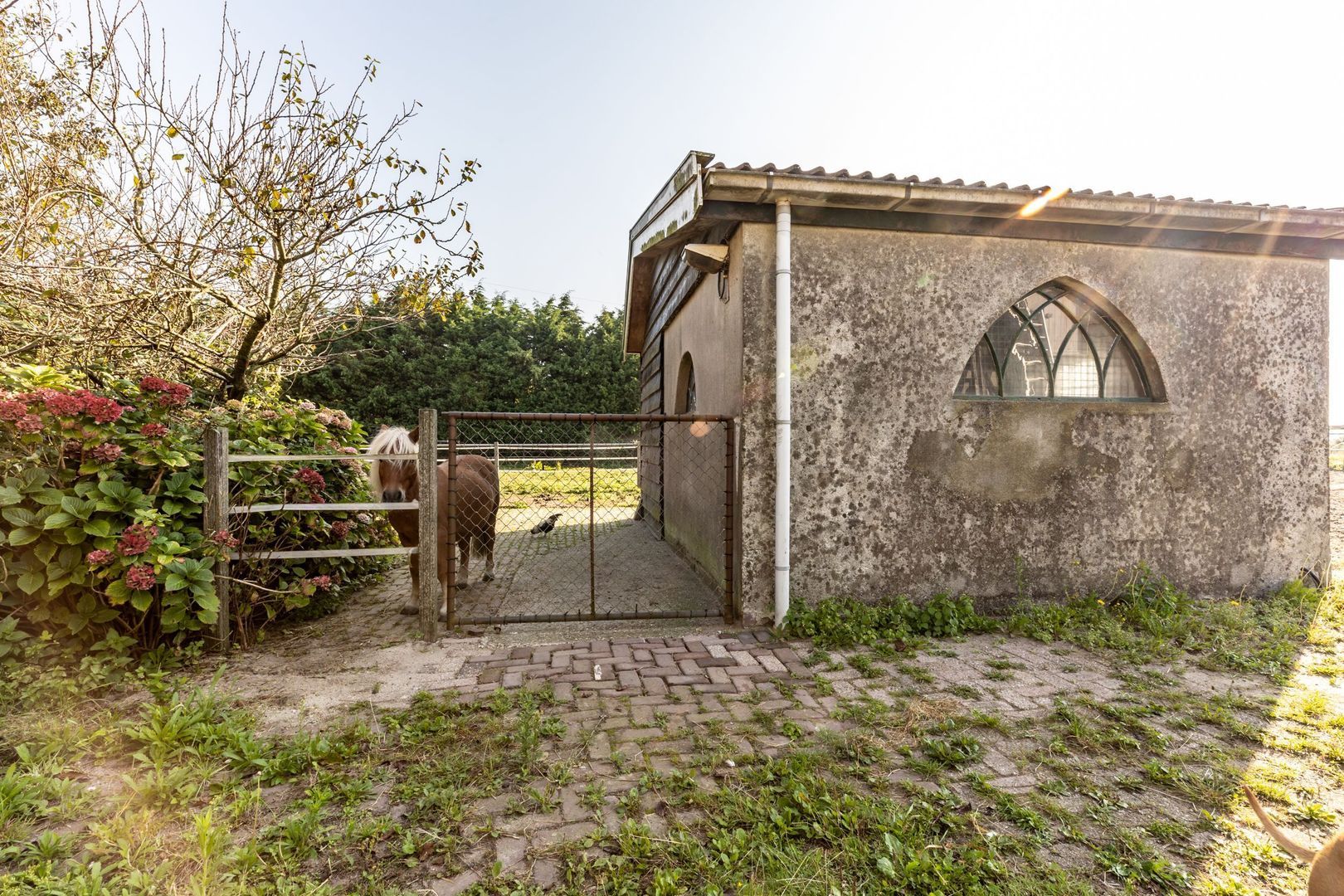 Abbewerveweg 5, Zwartewaal foto-13