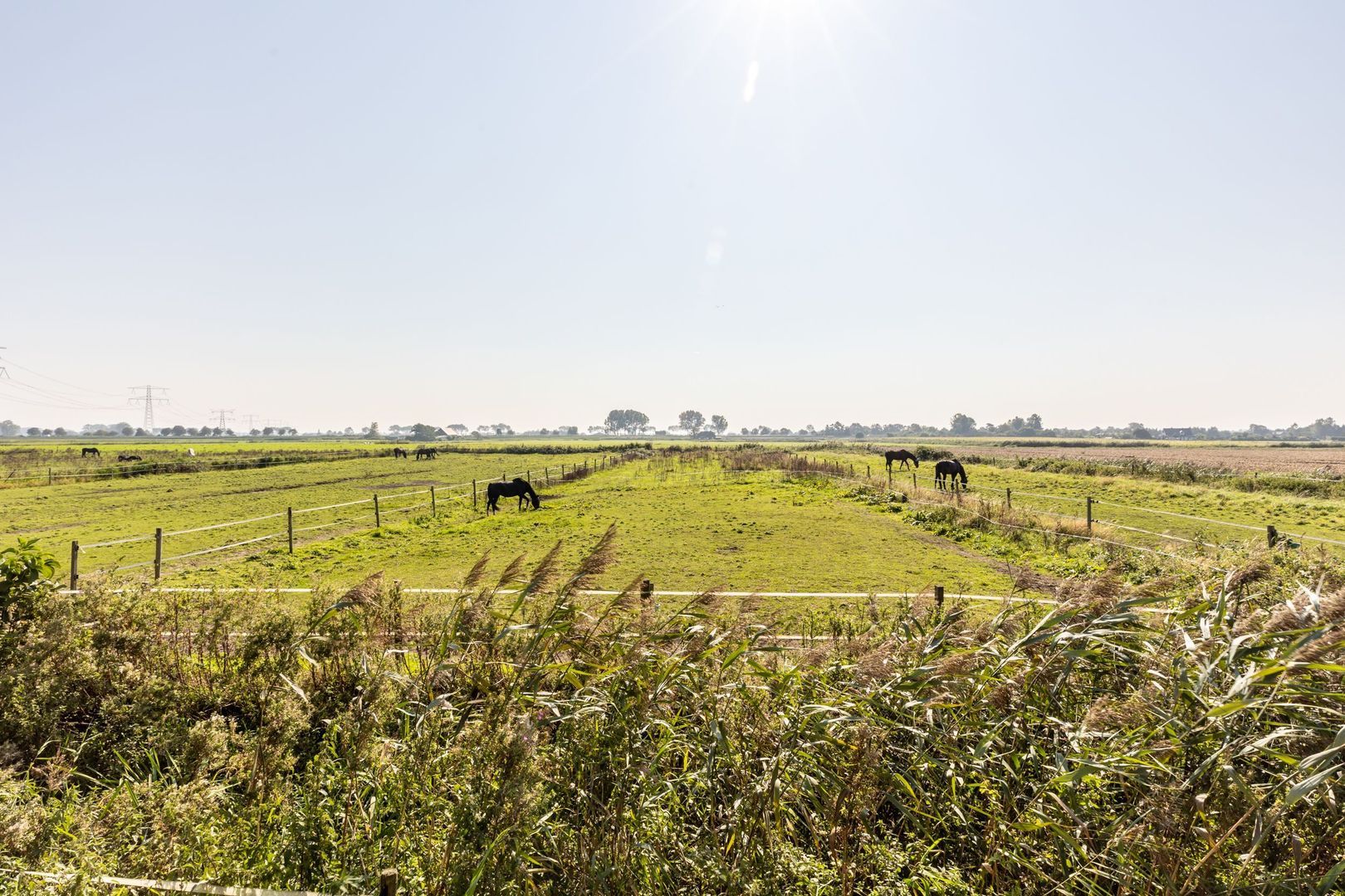 Abbewerveweg 5, Zwartewaal foto-3