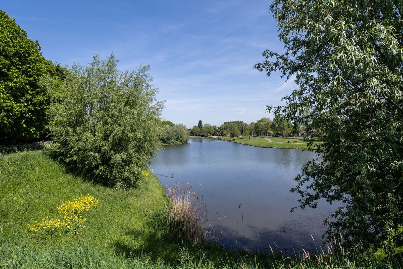 Opzoomerlaan 116, Hellevoetsluis foto-78