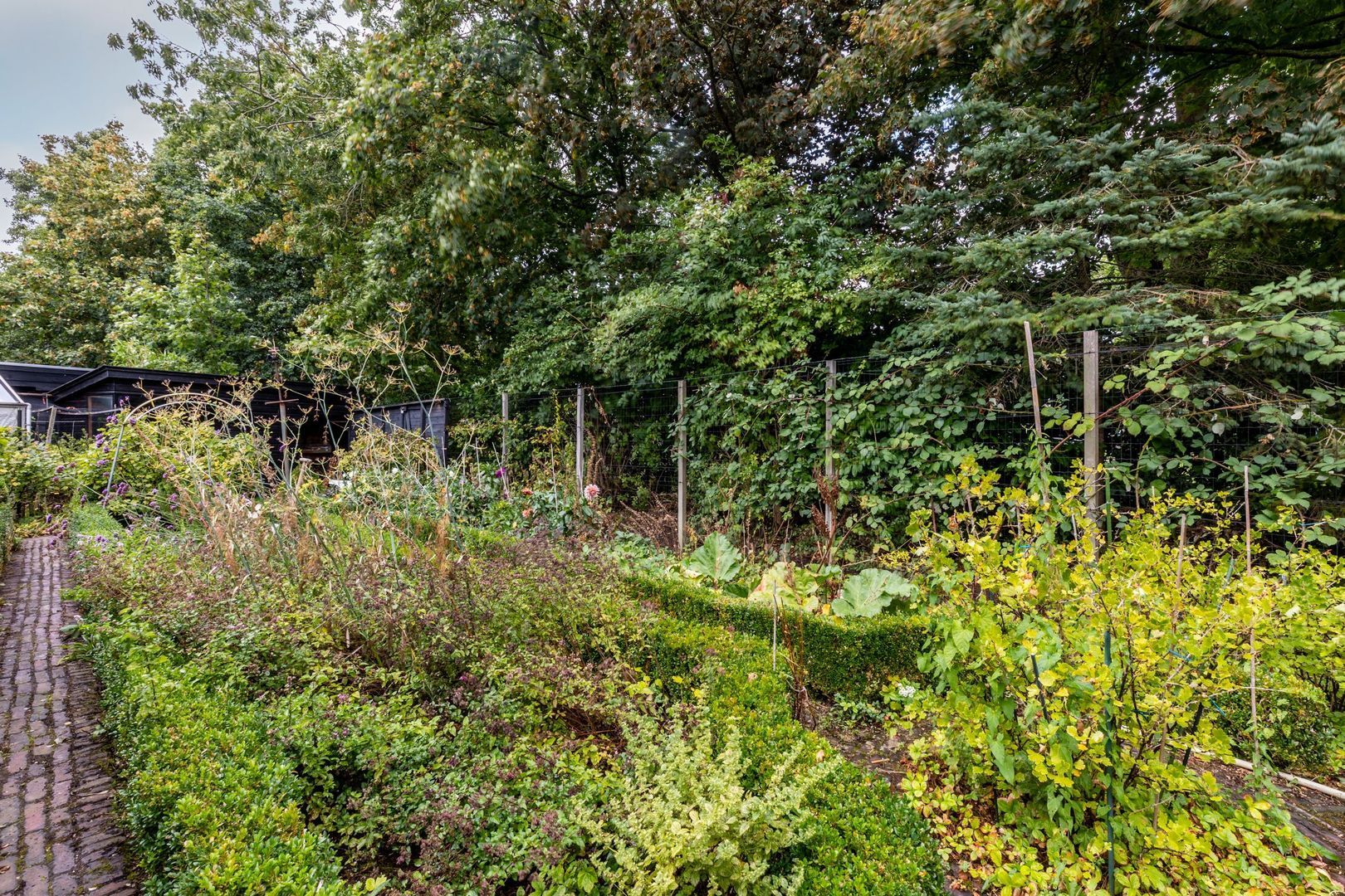 Dwarsweg 14, Rockanje foto-53