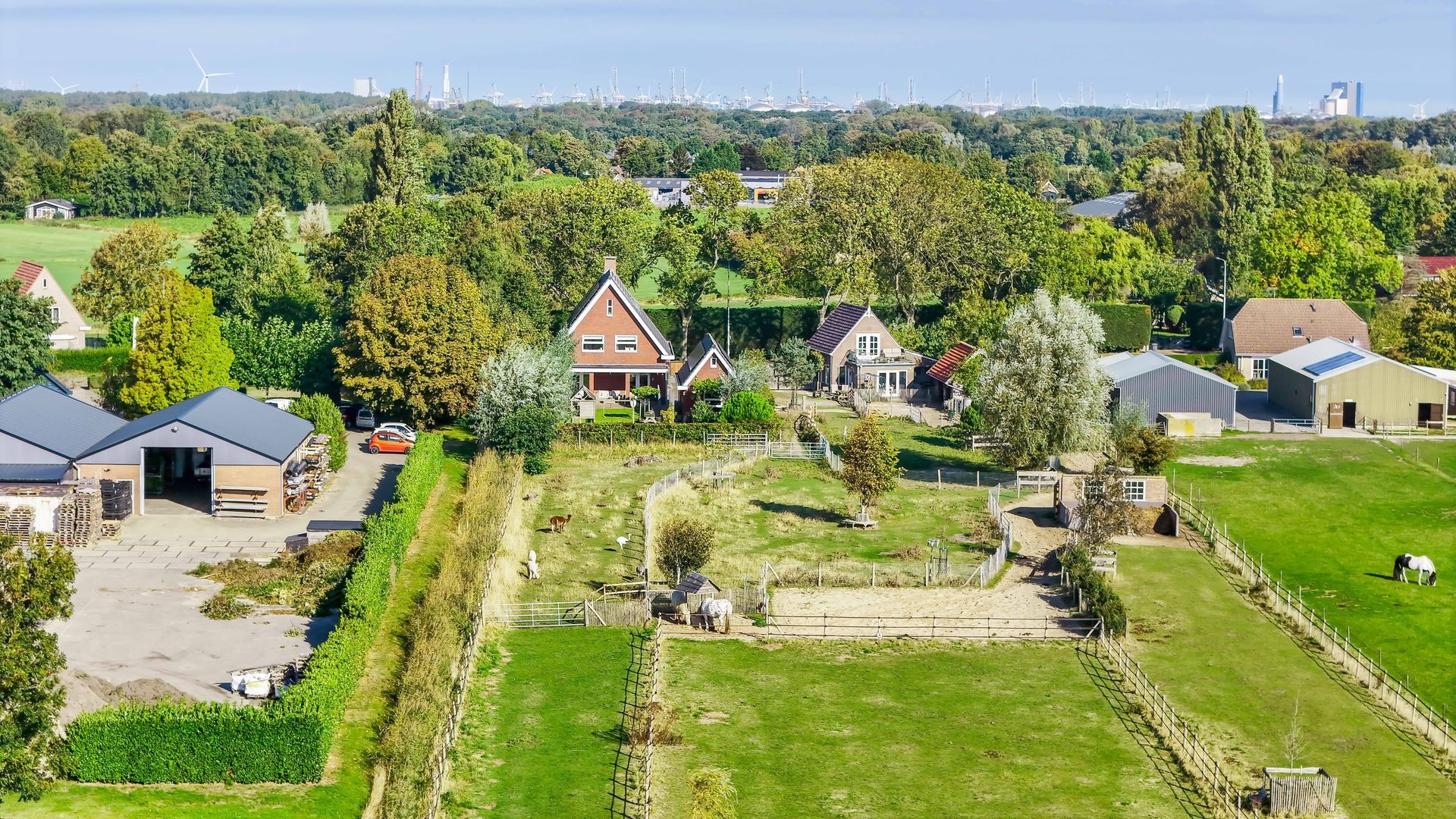 Boomweg 21, Rockanje foto-69