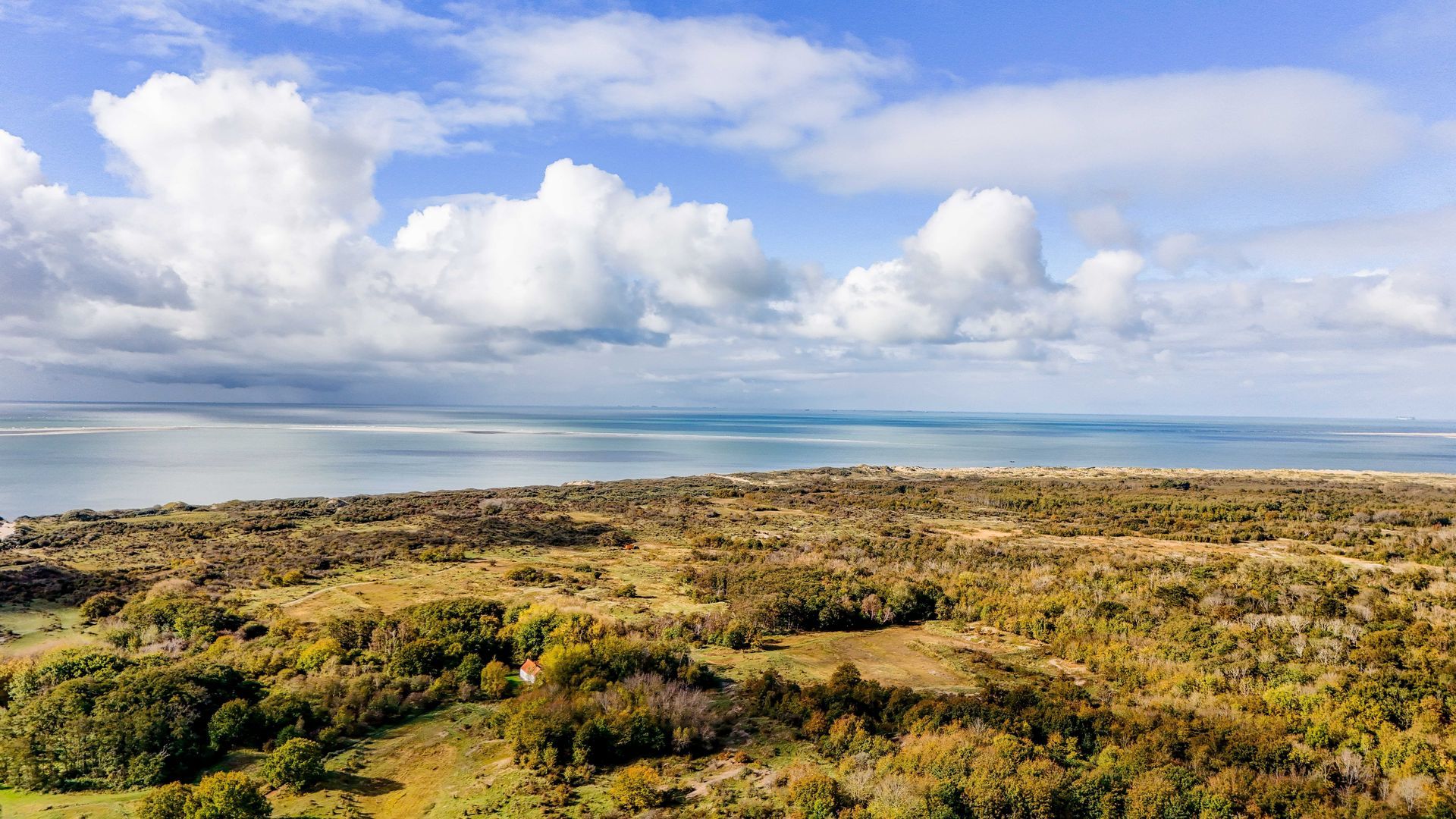 Bosweg 9 a, Rockanje foto-85