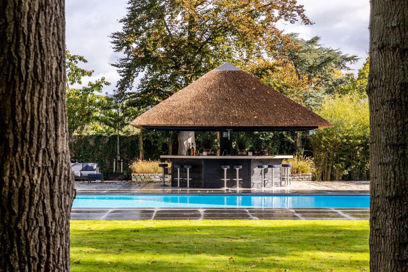 Bosweg 9 a, Rockanje foto-59