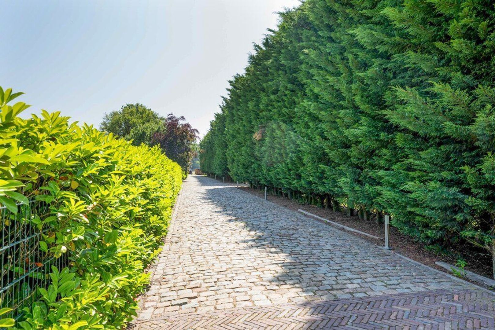 Molendijk 6, Oostvoorne foto-42