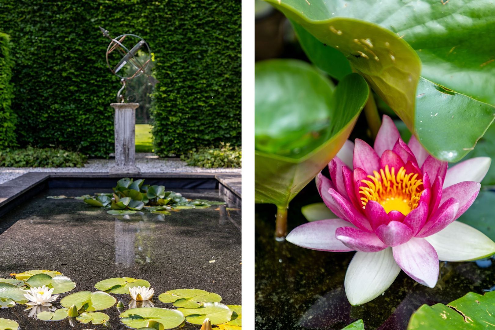 Molendijk 8, Oostvoorne foto-106