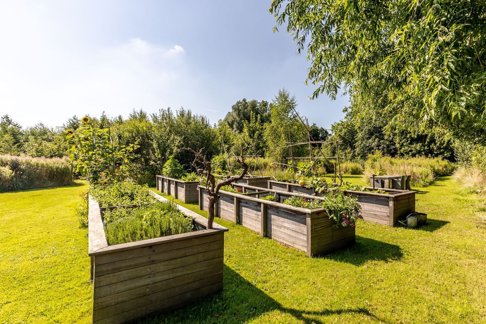 Boomweg 13 b, Rockanje foto-64