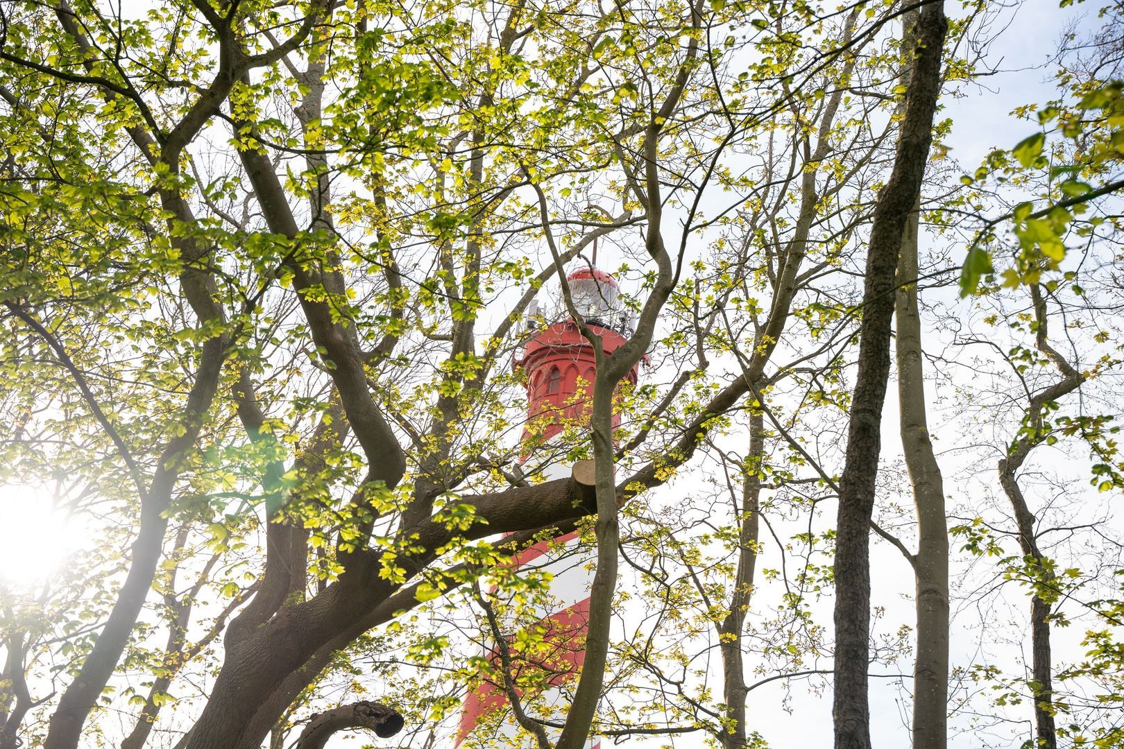 Burghseweg 74, Burgh-Haamstede foto-65