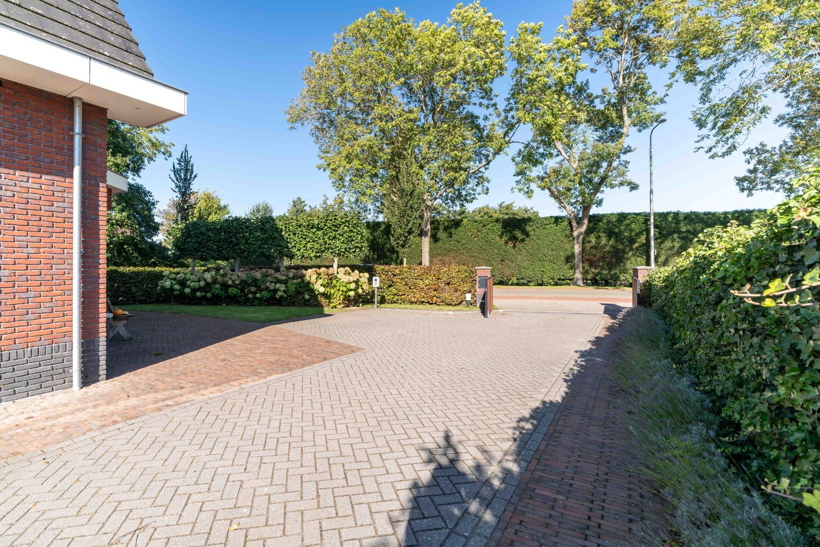 Boomweg 21, Rockanje foto-66