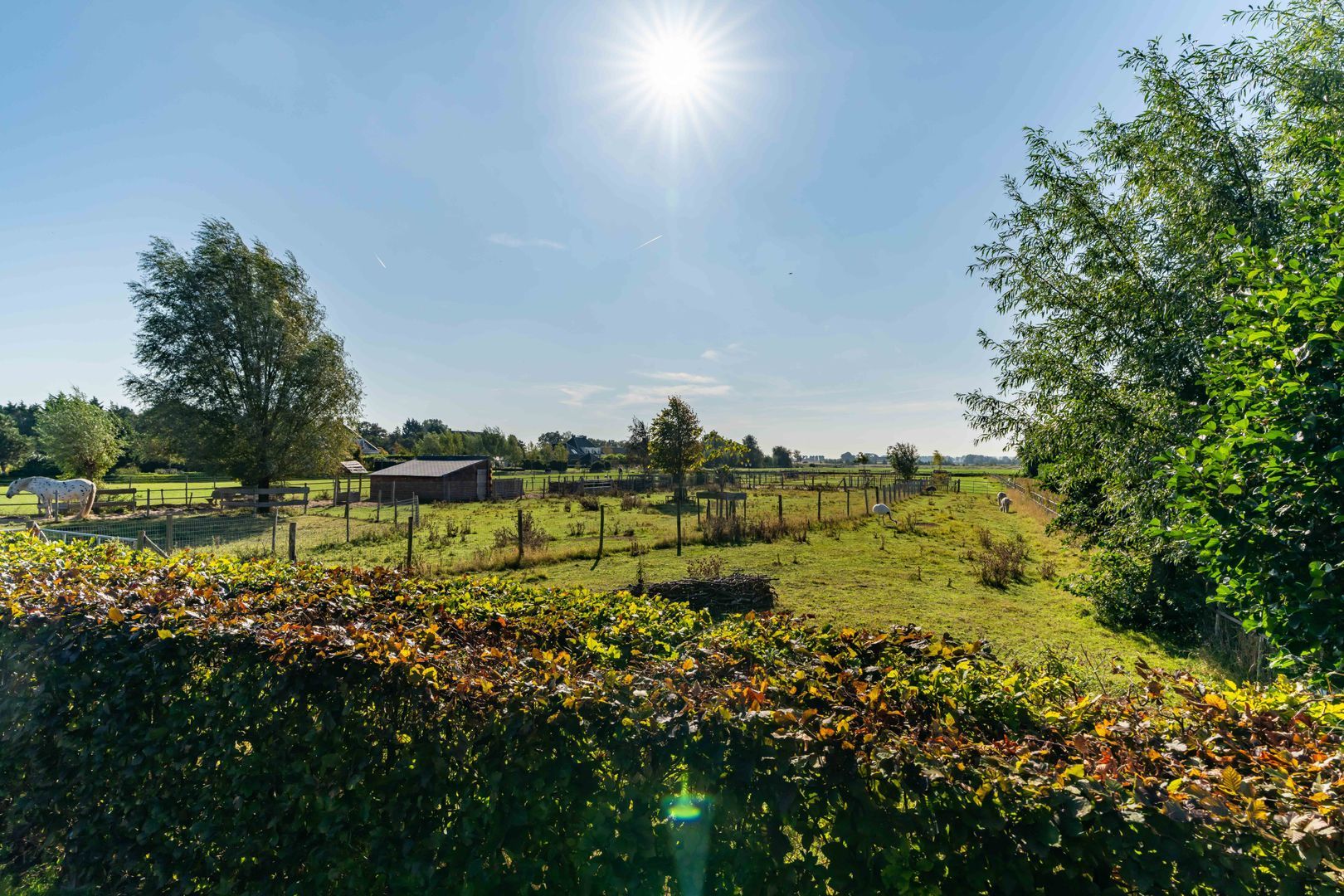 Boomweg 21, Rockanje foto-57