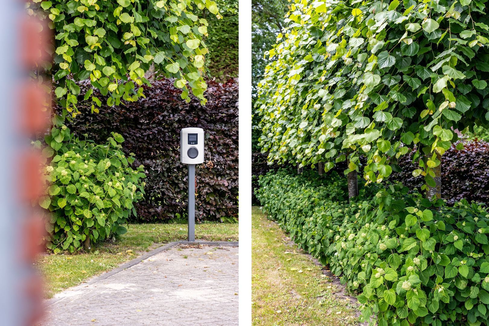 Boomweg 21, Rockanje foto-66