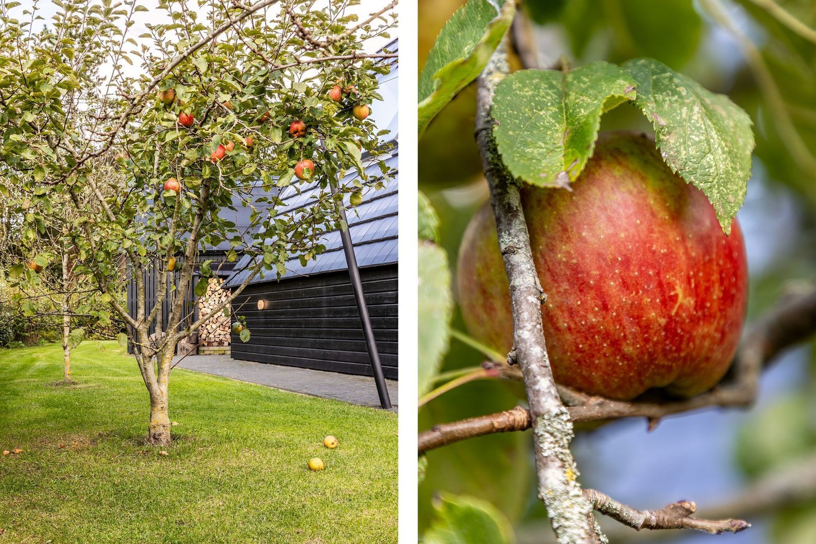 Sportlaan 3 b, Oostvoorne foto-27