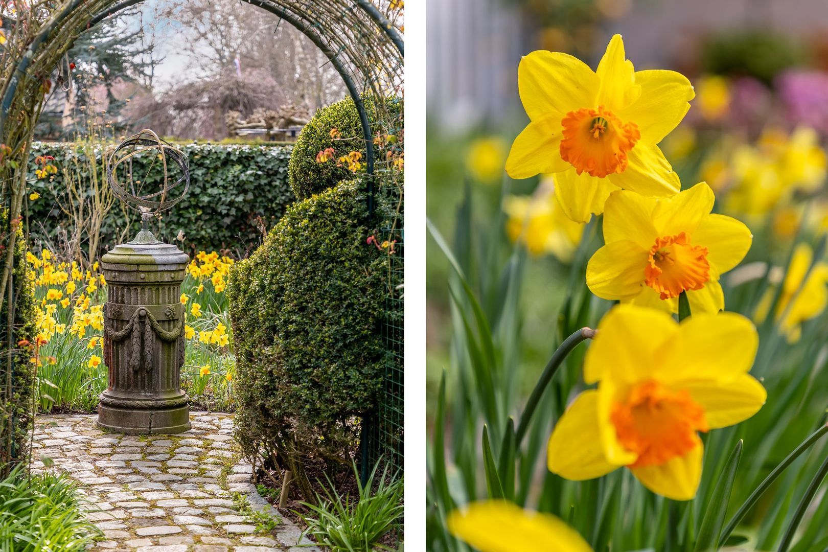 Dwarsweg 14, Rockanje foto-32