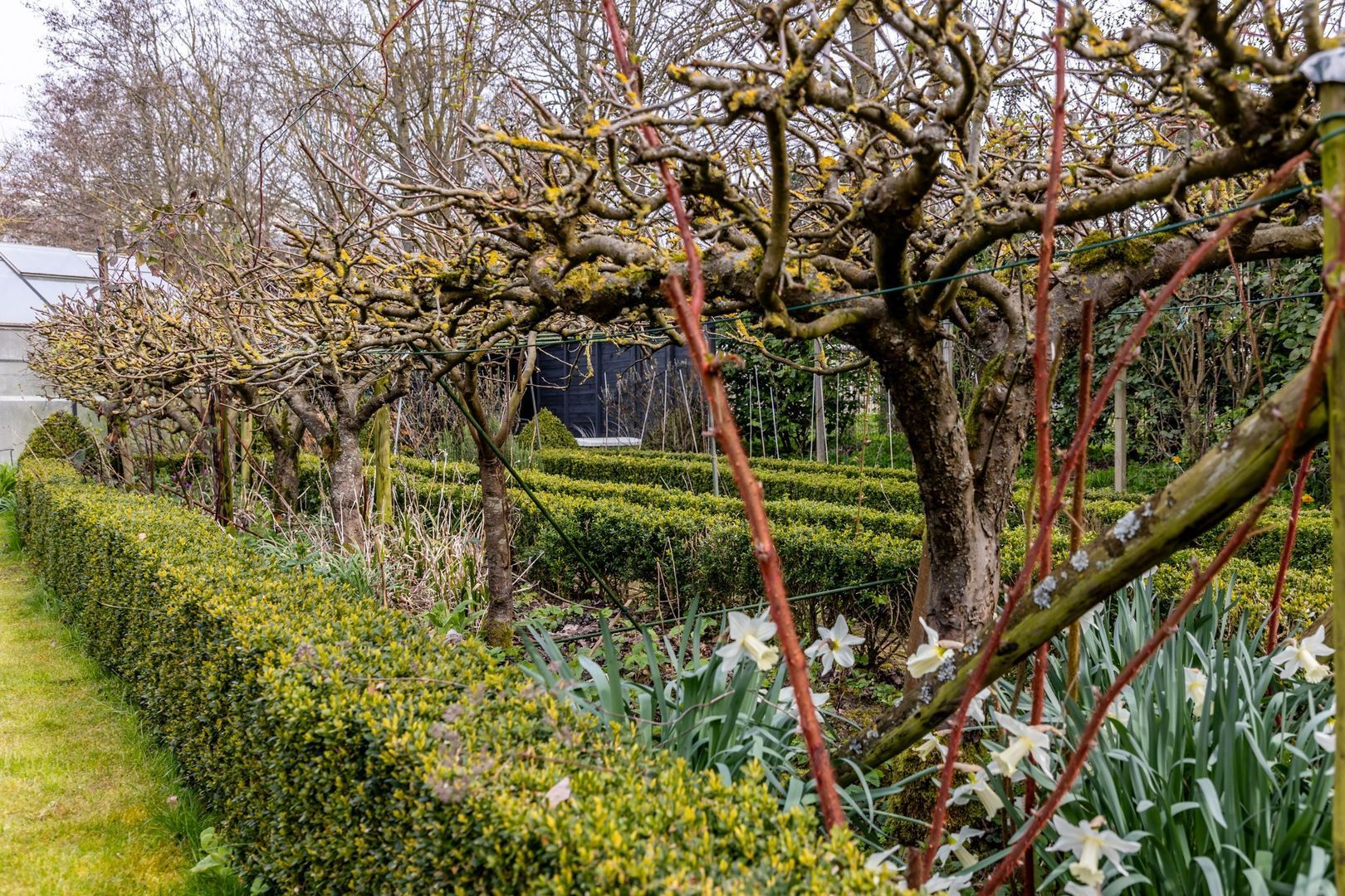 Dwarsweg 14, Rockanje foto-42