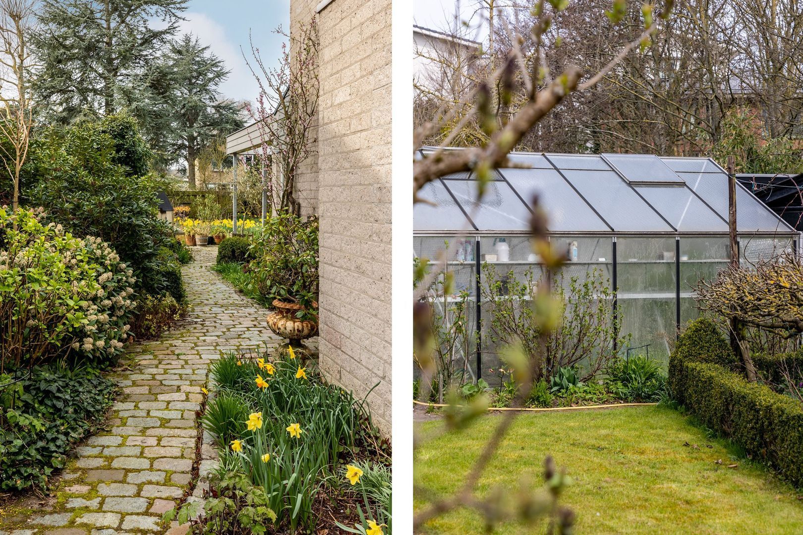 Dwarsweg 14, Rockanje foto-41