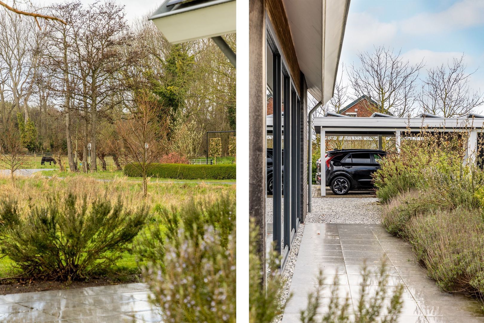 Waterbospad 2 a, Rockanje foto-7