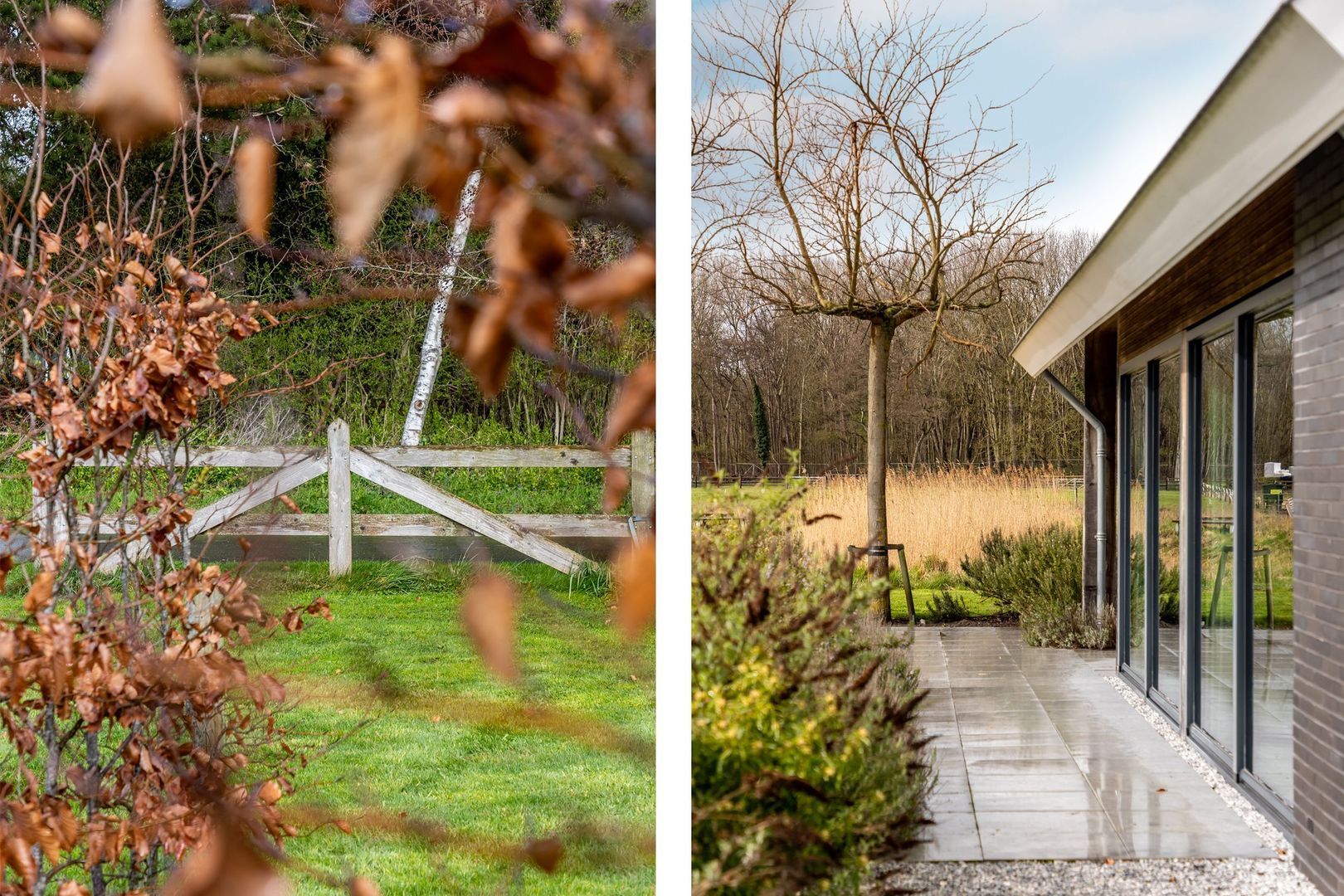 Waterbospad 2 a, Rockanje foto-46