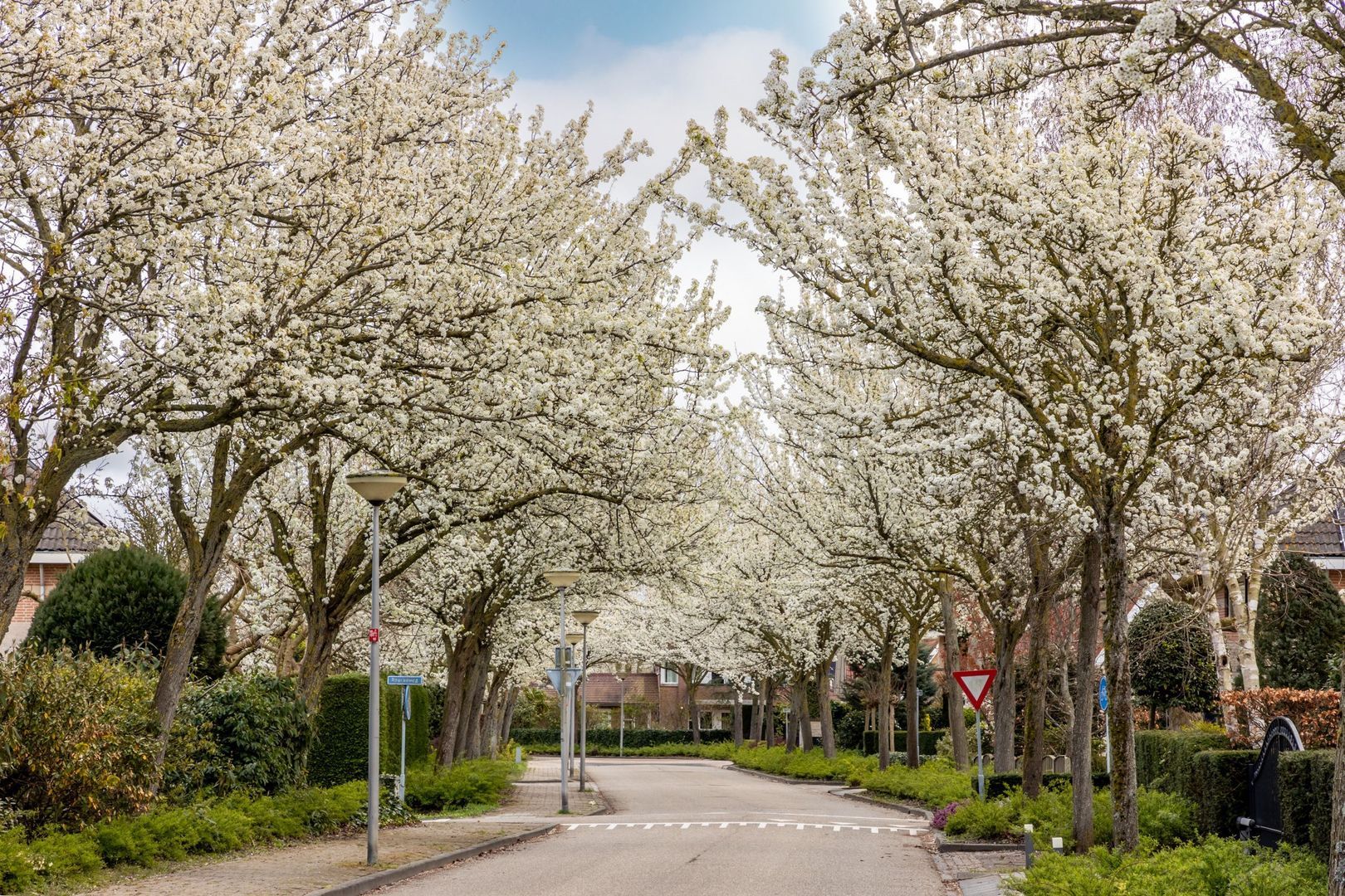 Esplanade 15, Hellevoetsluis foto-63