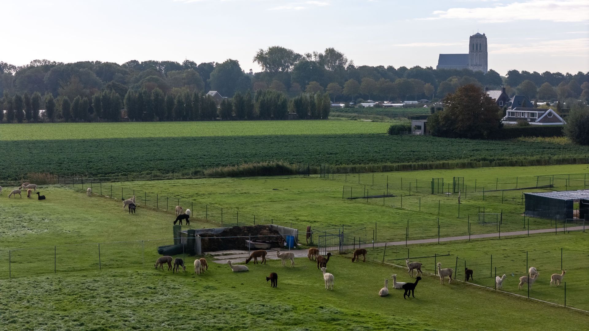 Eersteling 8, Brielle foto-83