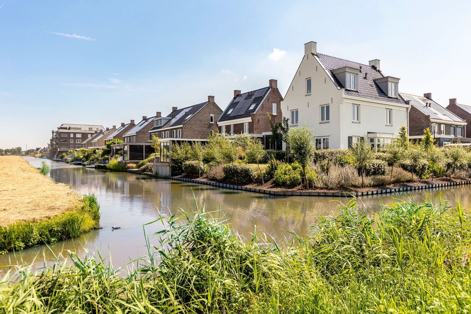 Bijenkorf 25, Moordrecht foto-54