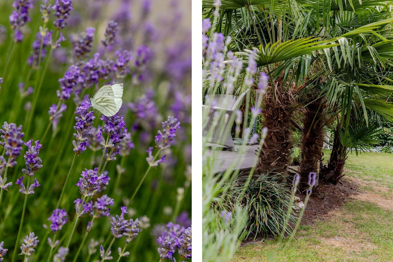 Muisbroekseweg 25, Giessenburg foto-20