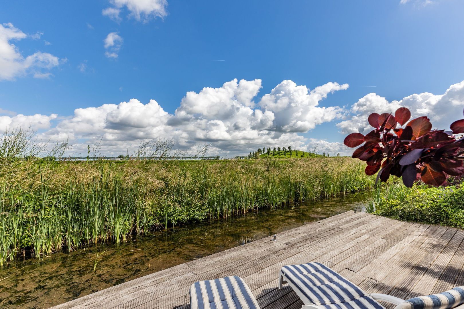 Muus Jacobsepad 9, Sommelsdijk foto-58