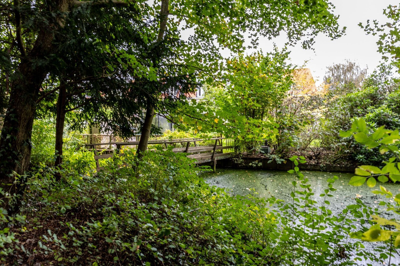 Plaswijcklaan 43, Rotterdam foto-14