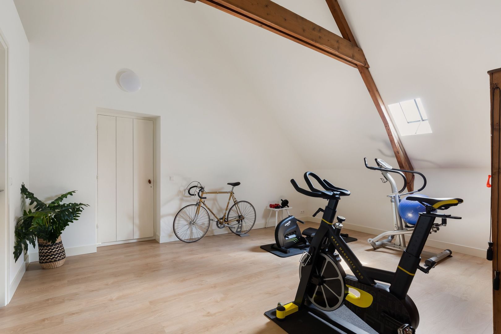 Eendrachtsdijk 4, Zevenhuizen foto-42