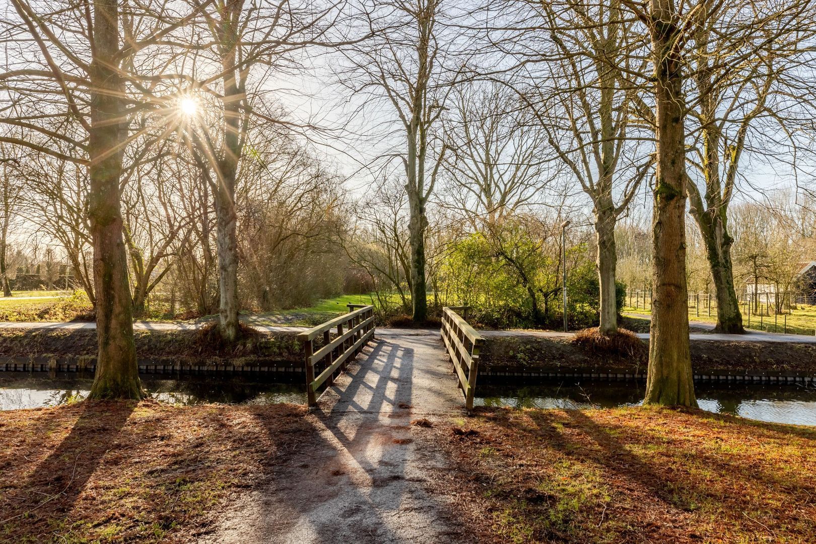 H.B.S.Laan 22, Oud-Beijerland foto-50