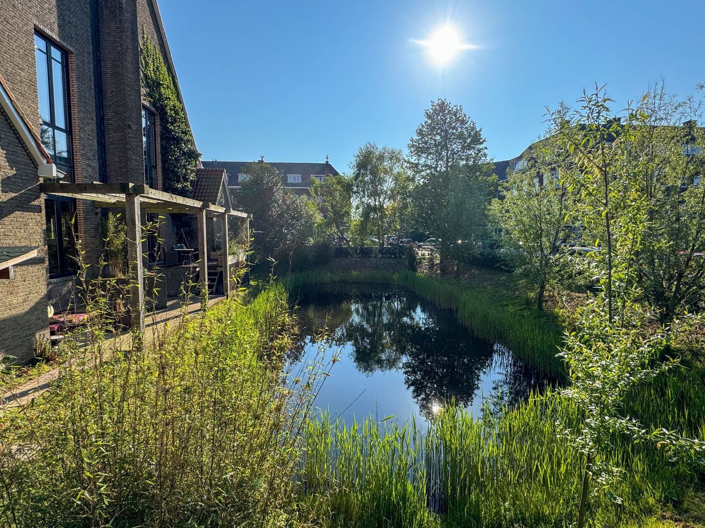 Pomonaplein 49, Den Haag foto-5