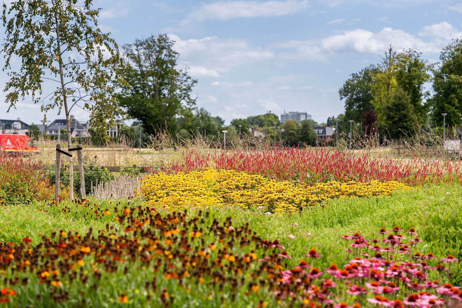 Van der Duijn van Maasdamweg 716, Rotterdam foto-59