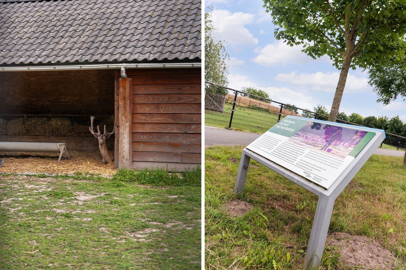 Van der Duijn van Maasdamweg 716, Rotterdam foto-62