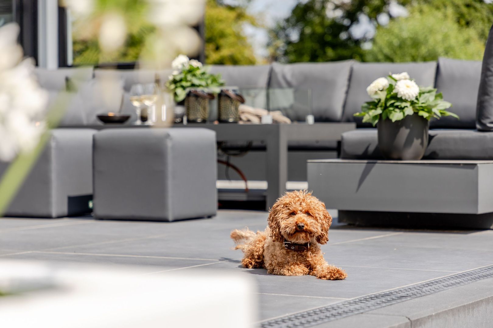 Binnenmaasoever 14, Maasdam foto-42