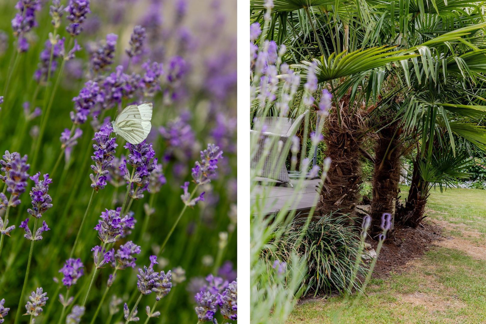 Muisbroekseweg 25, Giessenburg foto-20