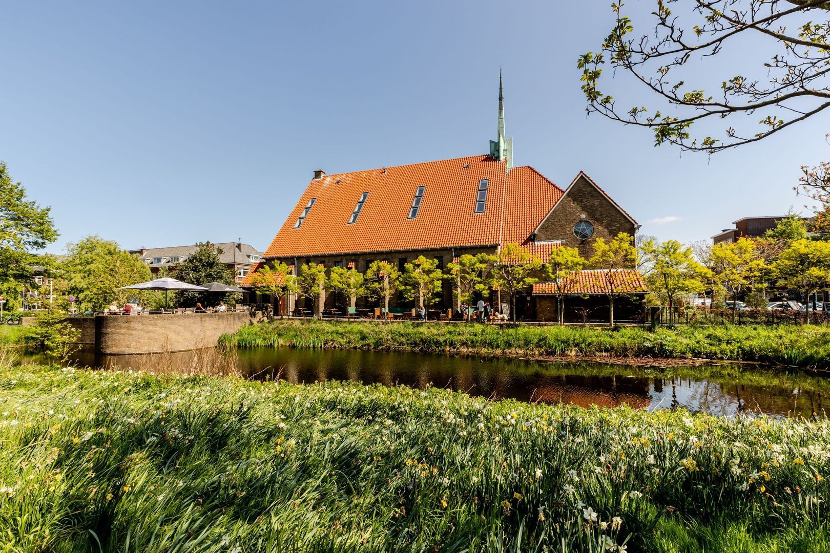 Pomonaplein 49, Den Haag foto-0