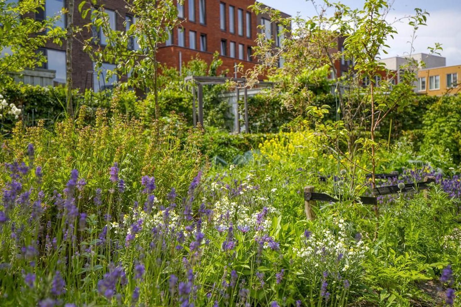 Kerkhoflaan 76, Rotterdam foto-44