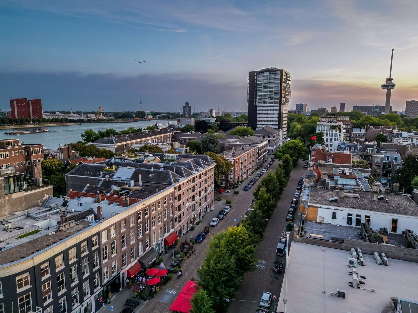 Calandstraat 20 E, Rotterdam foto-49