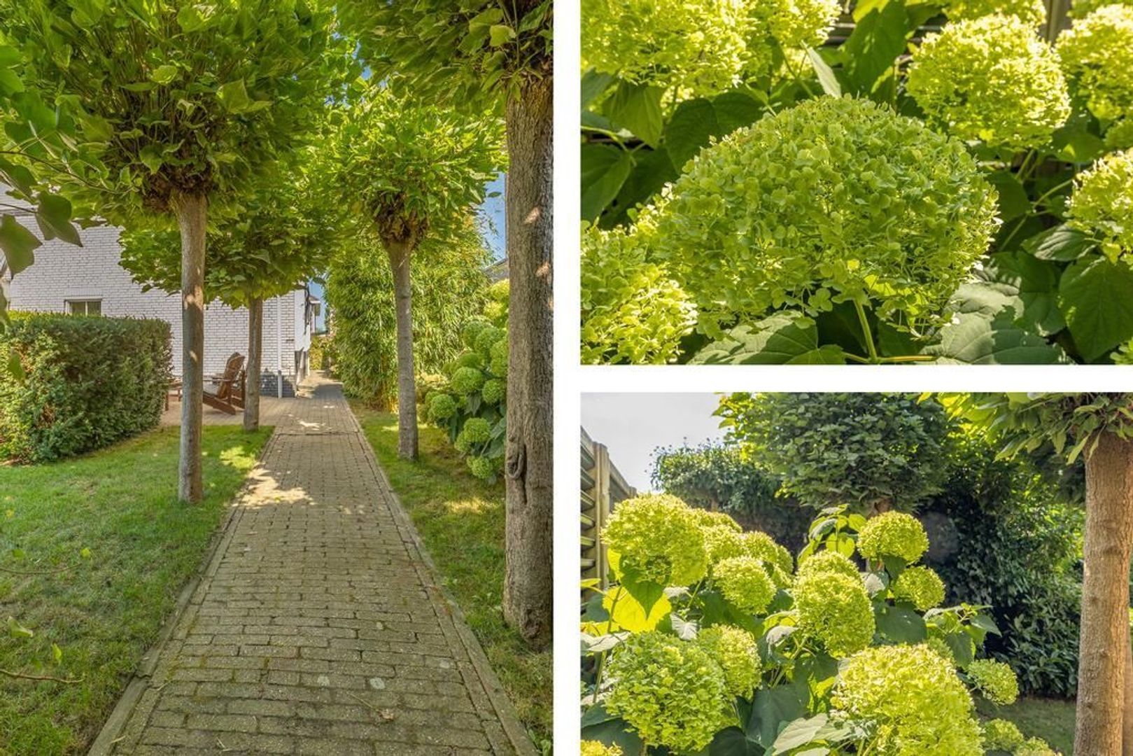 Schepenlaan 9, Mijnsheerenland foto-16