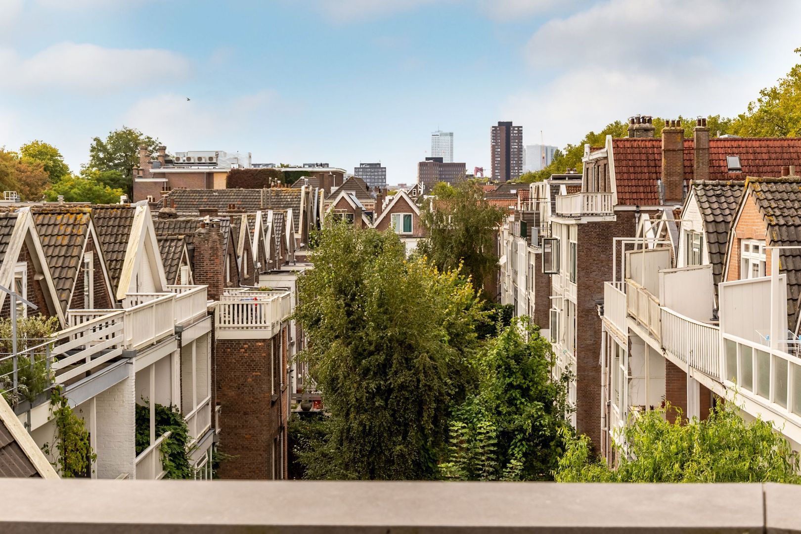 Kralingse Plaslaan 95, Rotterdam foto-43