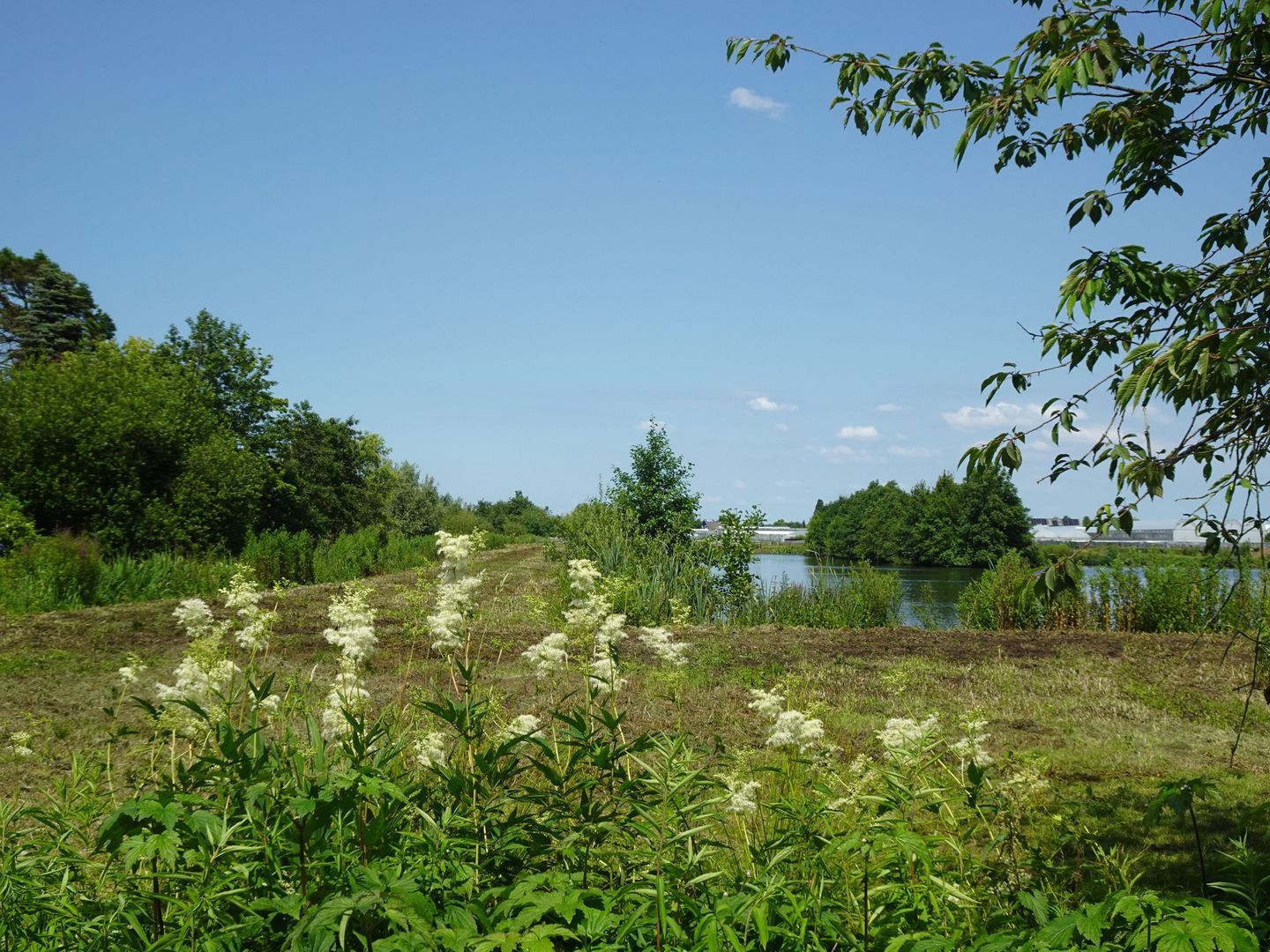 Spoelwijkerlaan 2, Boskoop foto-100