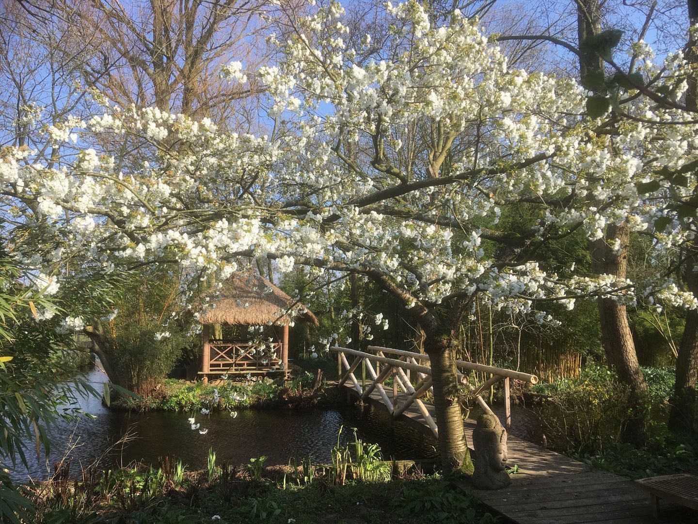 Spoelwijkerlaan 2, Boskoop foto-86