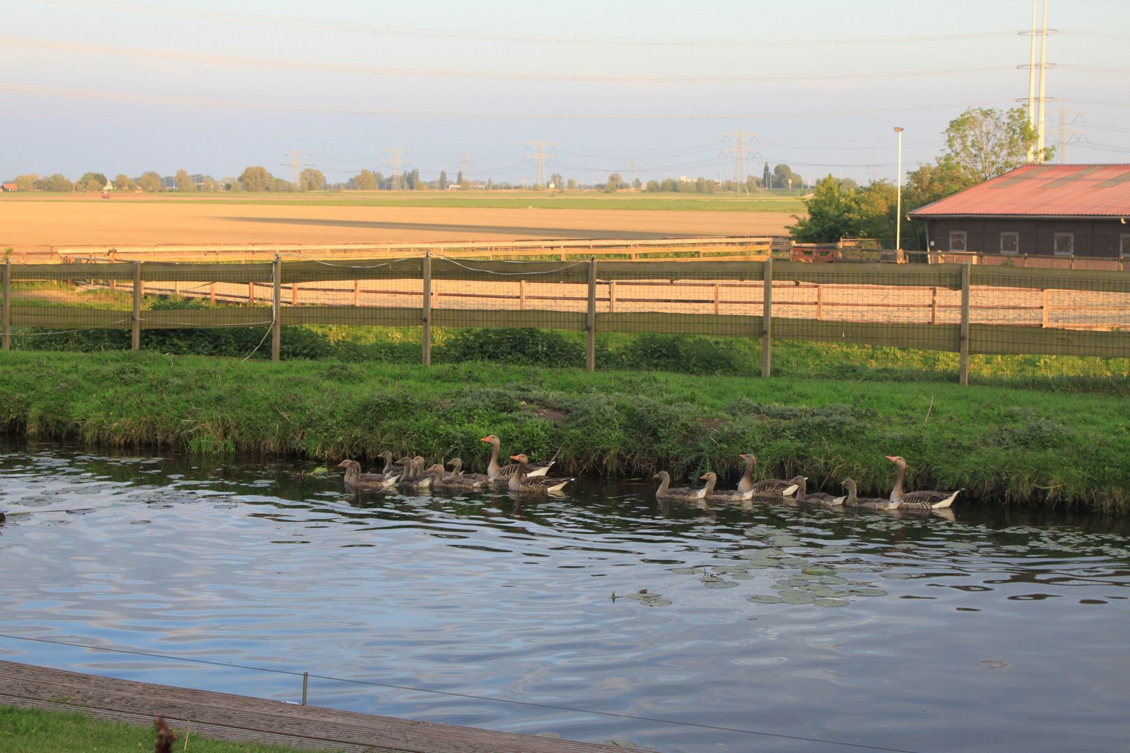 Voorlaan 5, Bleiswijk foto-42